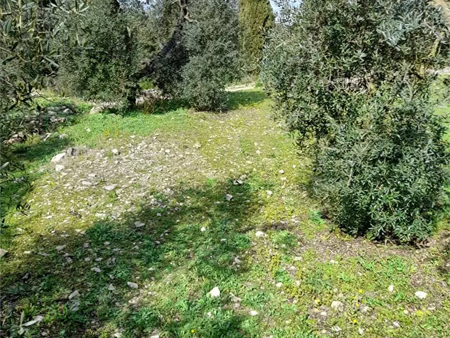 Immagine 10 di Rustico / casale in vendita  a Itri