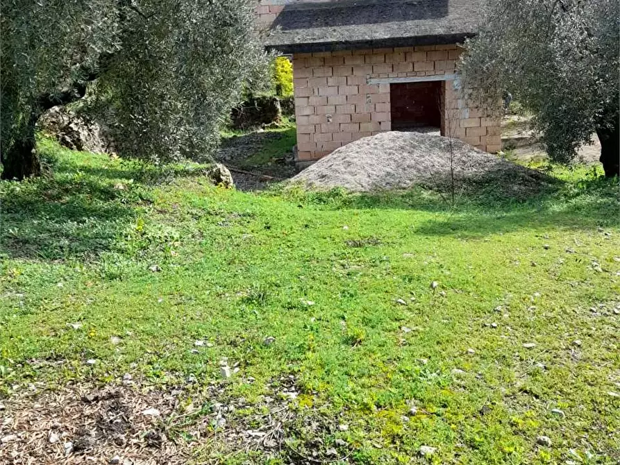 Immagine 3 di Rustico / casale in vendita  a Itri