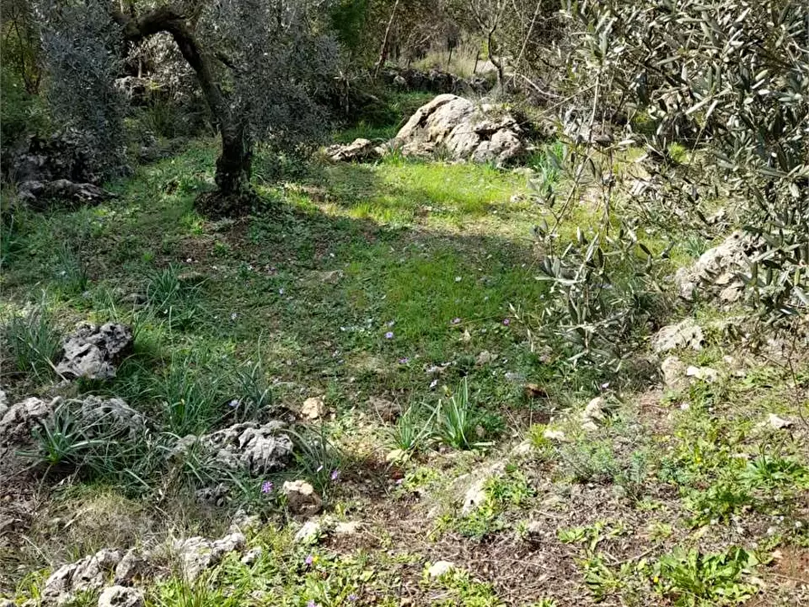 Immagine 11 di Rustico / casale in vendita  a Itri