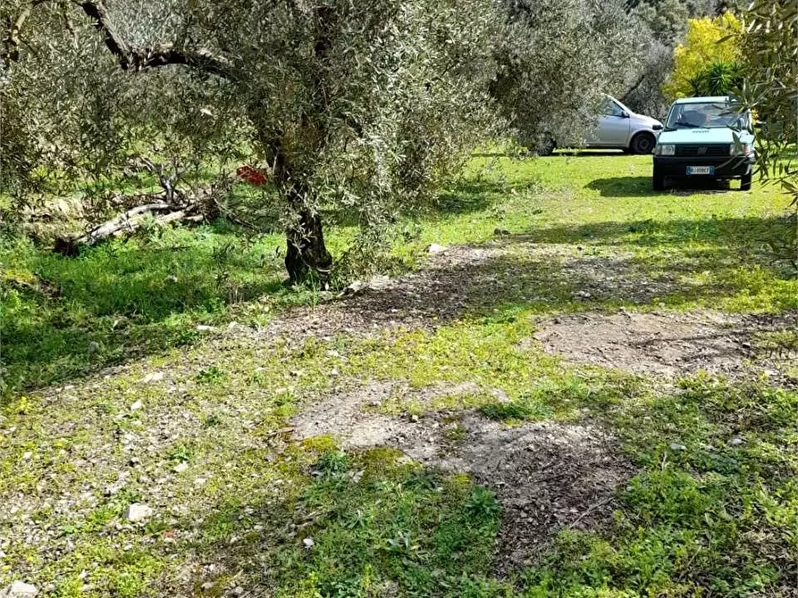 Immagine 14 di Rustico / casale in vendita  a Itri