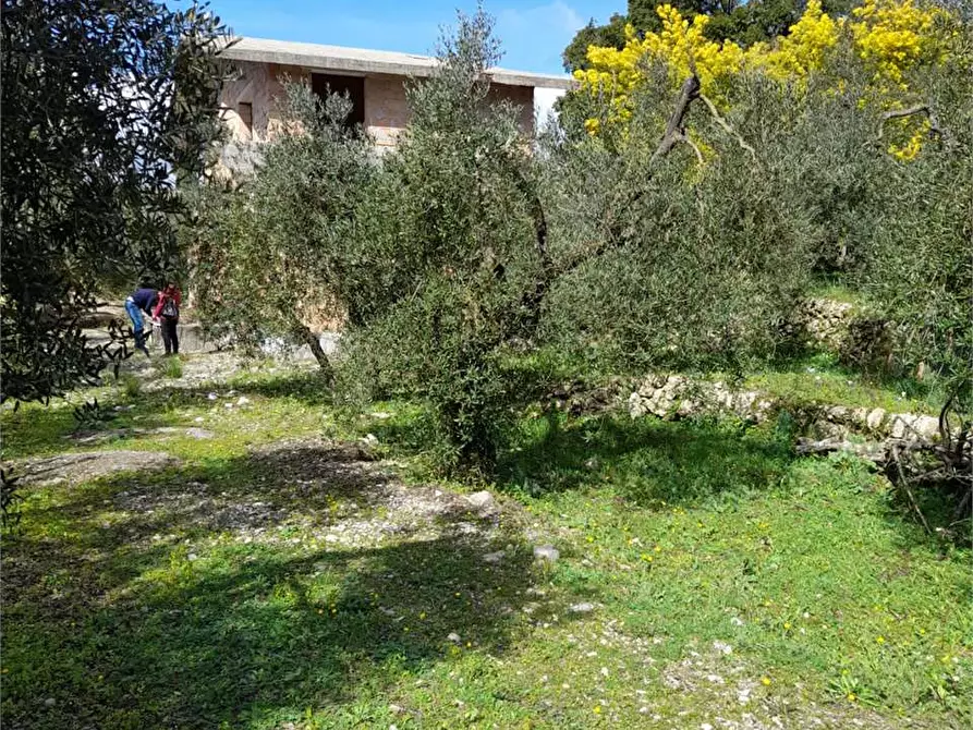 Immagine 7 di Rustico / casale in vendita  a Itri