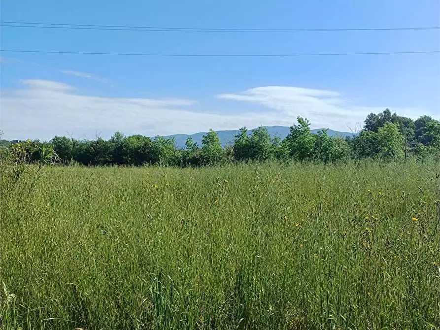 Immagine 2 di Terreno agricolo in vendita  a Spigno Saturnia