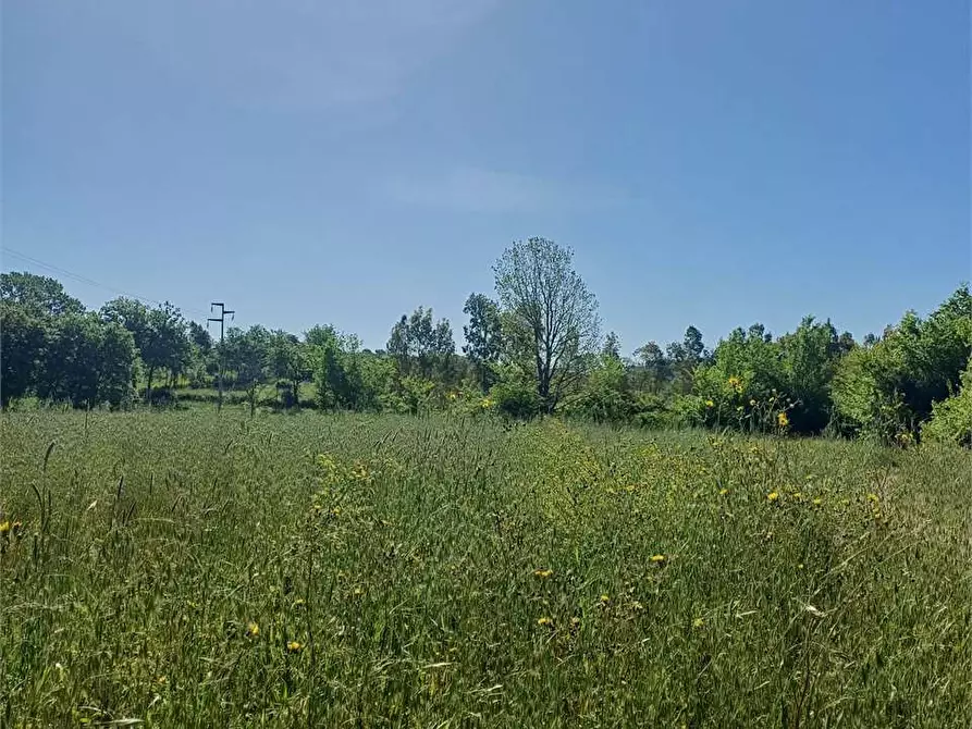 Immagine 3 di Terreno agricolo in vendita  a Spigno Saturnia