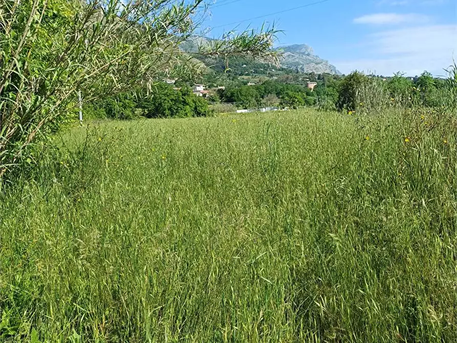 Immagine 4 di Terreno agricolo in vendita  a Spigno Saturnia