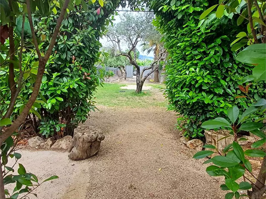 Immagine 1 di Terreno agricolo in vendita  a Formia