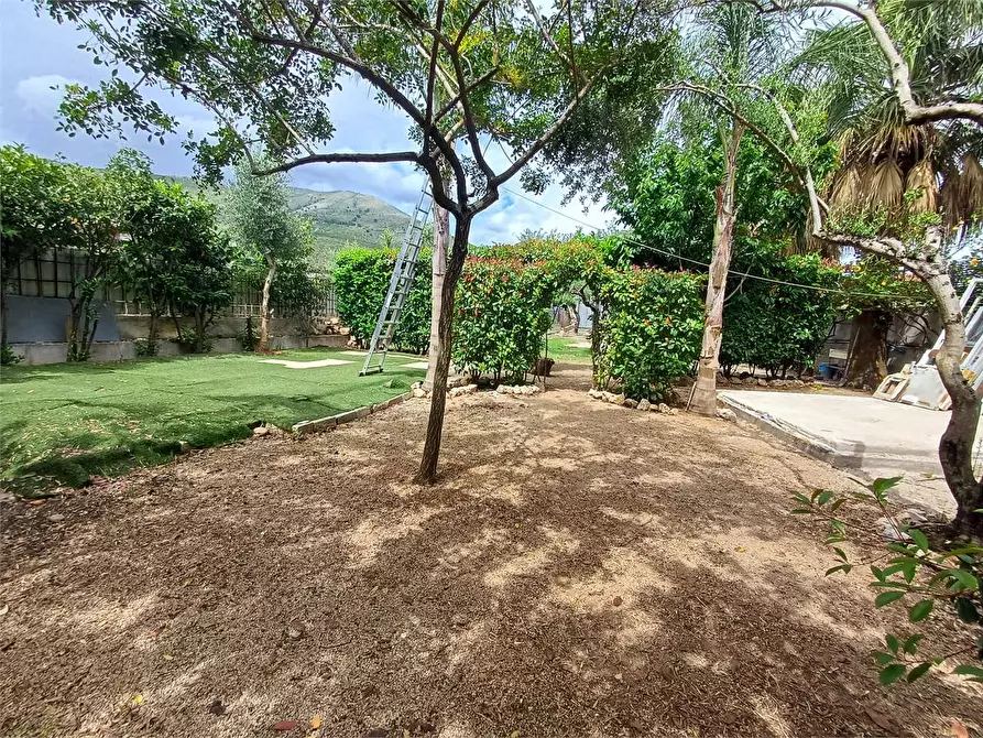 Immagine 14 di Terreno agricolo in vendita  a Formia