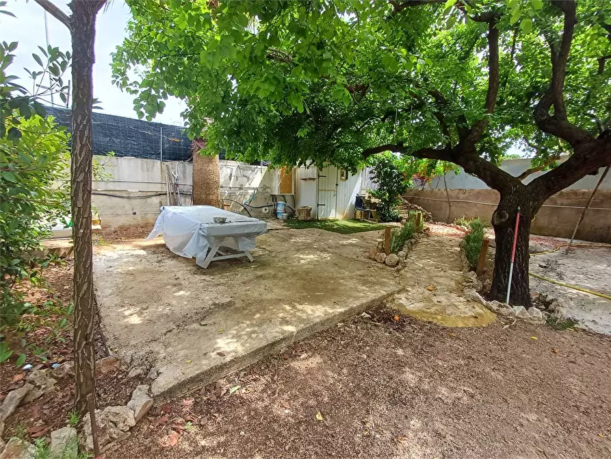 Immagine 18 di Terreno agricolo in vendita  a Formia