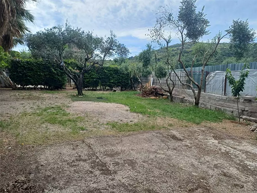 Immagine 5 di Terreno agricolo in vendita  a Formia