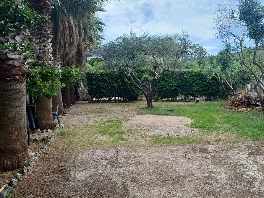 Immagine 3 di Terreno agricolo in vendita  a Formia