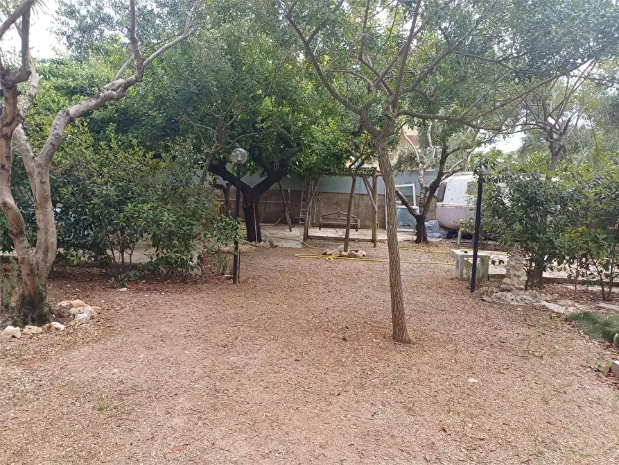 Immagine 6 di Terreno agricolo in vendita  a Formia