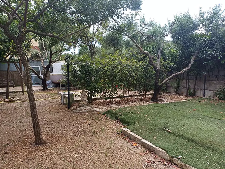 Immagine 11 di Terreno agricolo in vendita  a Formia