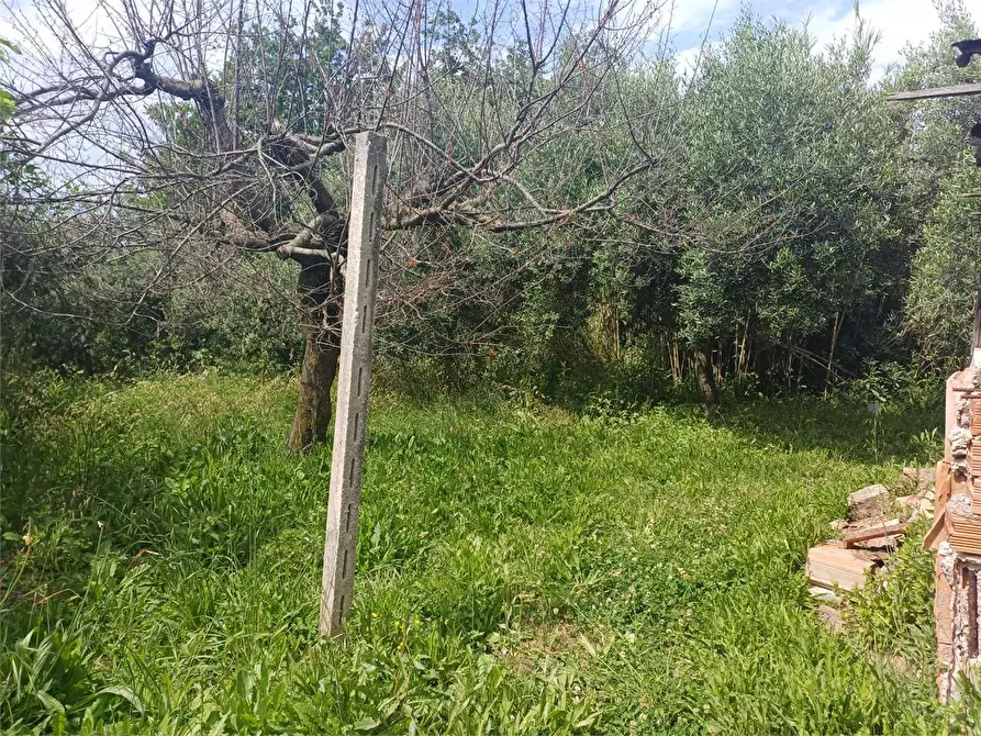 Immagine 2 di Rustico / casale in vendita  a Formia