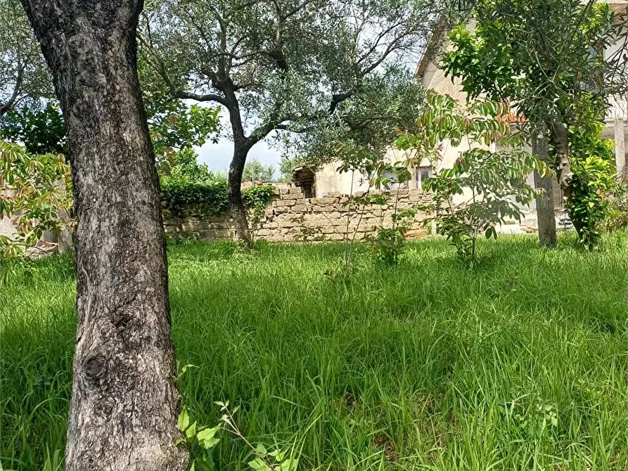 Immagine 3 di Rustico / casale in vendita  a Formia