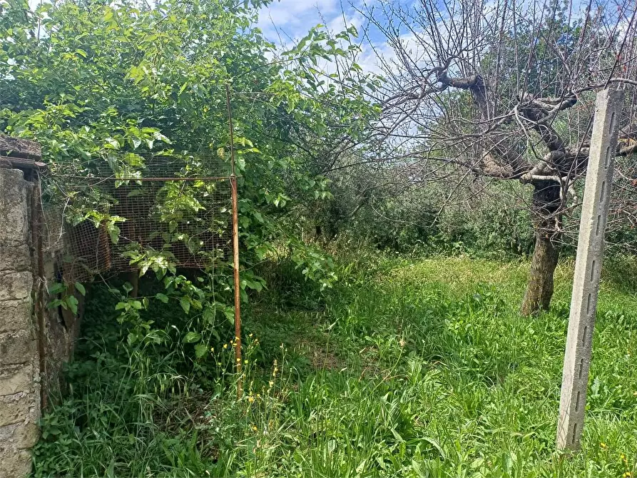 Immagine 5 di Rustico / casale in vendita  a Formia