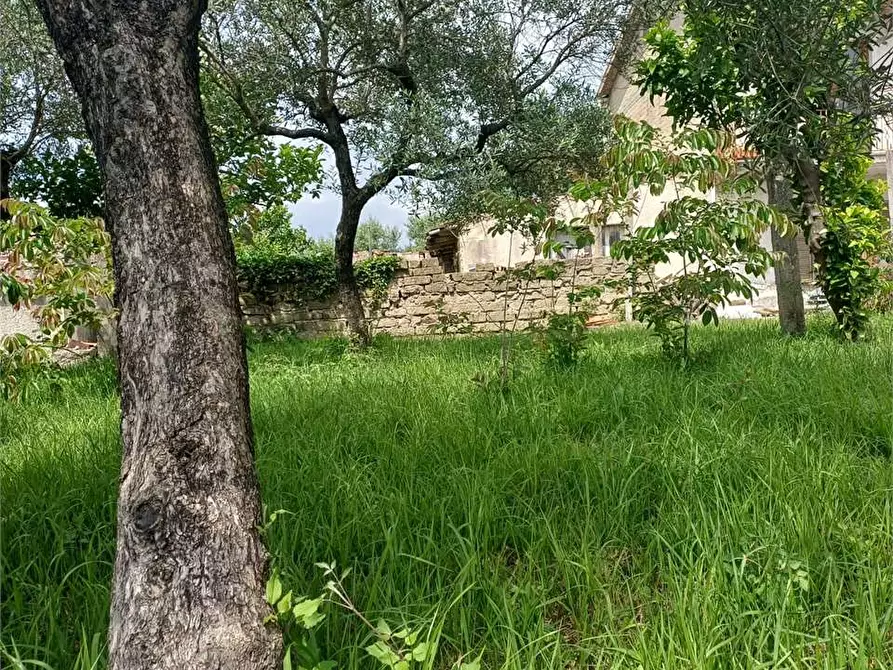 Immagine 6 di Rustico / casale in vendita  a Formia