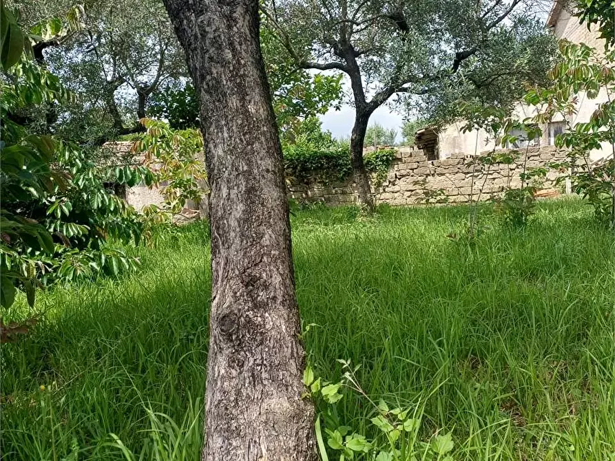 Immagine 7 di Rustico / casale in vendita  a Formia