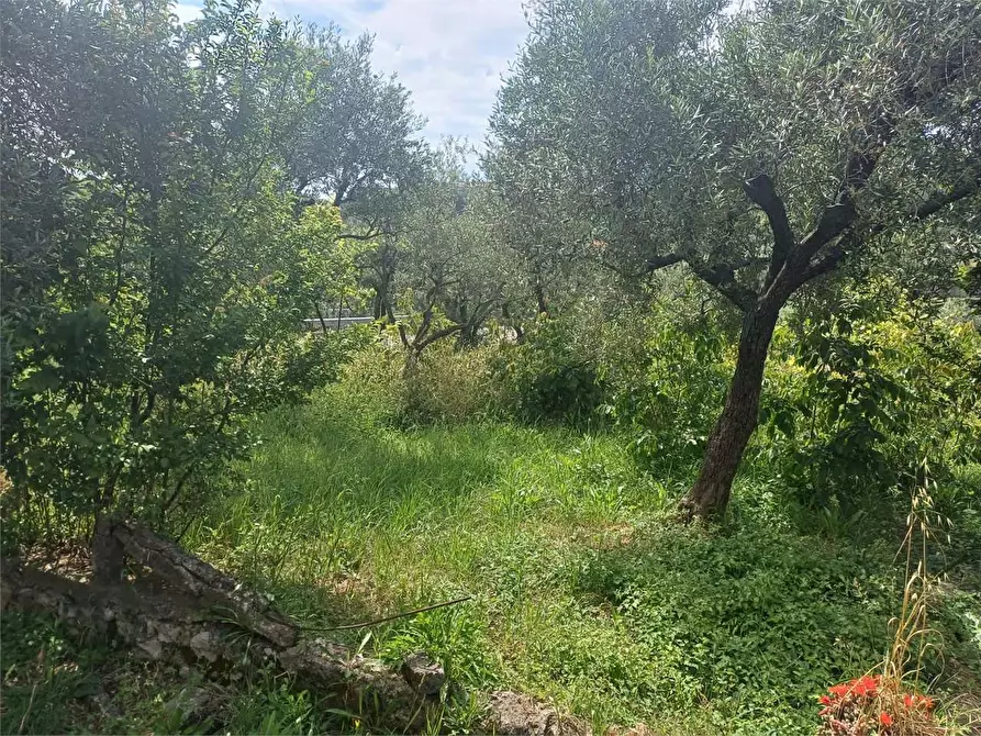 Immagine 8 di Rustico / casale in vendita  a Formia