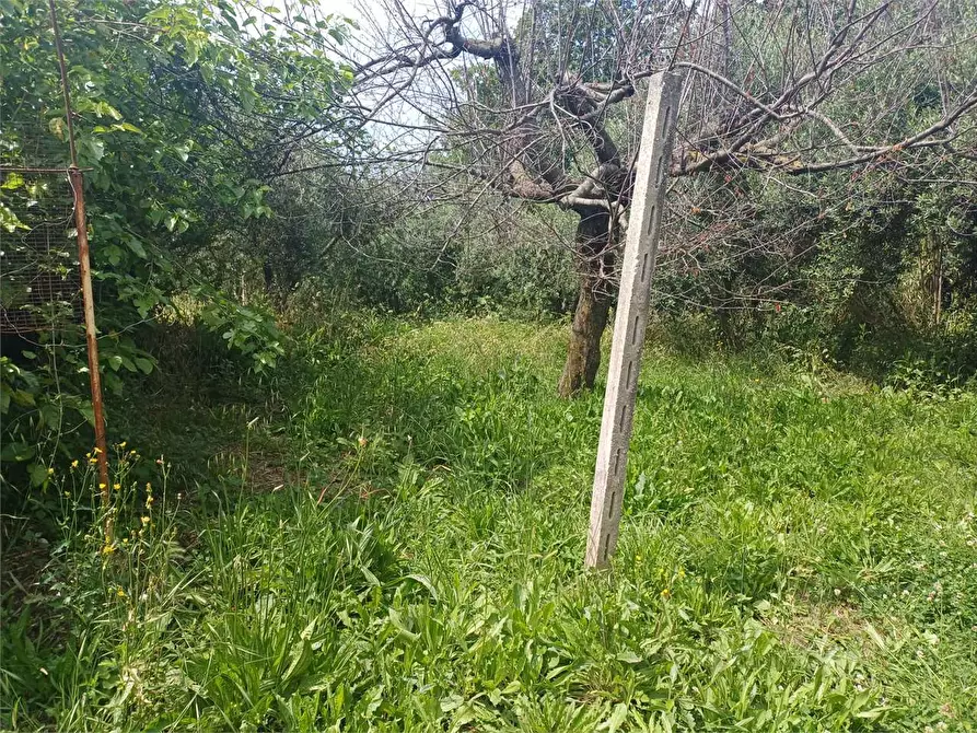 Immagine 13 di Rustico / casale in vendita  a Formia