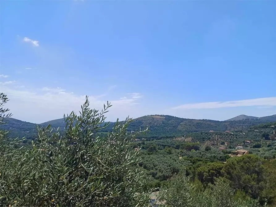 Immagine 39 di Villa in vendita  a Itri