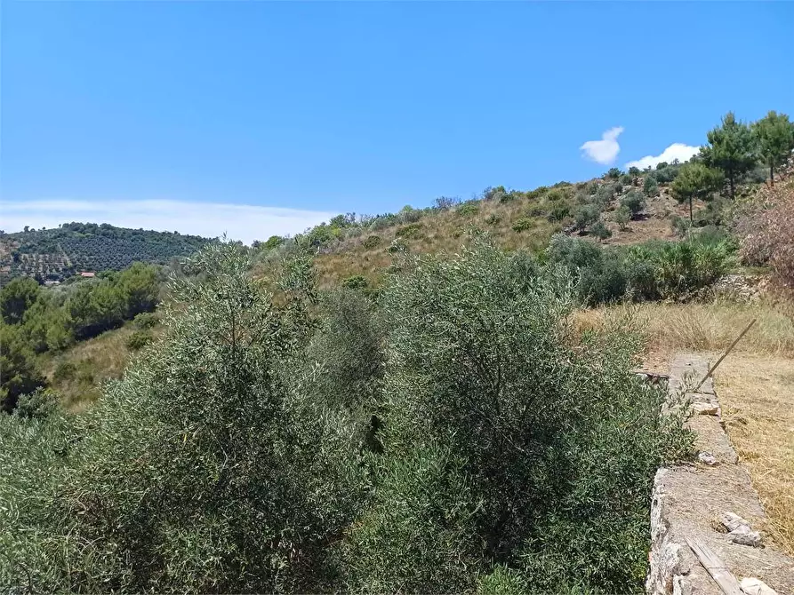 Immagine 41 di Villa in vendita  a Itri