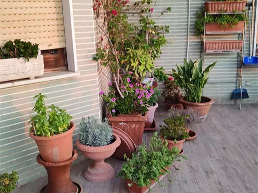 Immagine 28 di Appartamento in vendita  a Formia