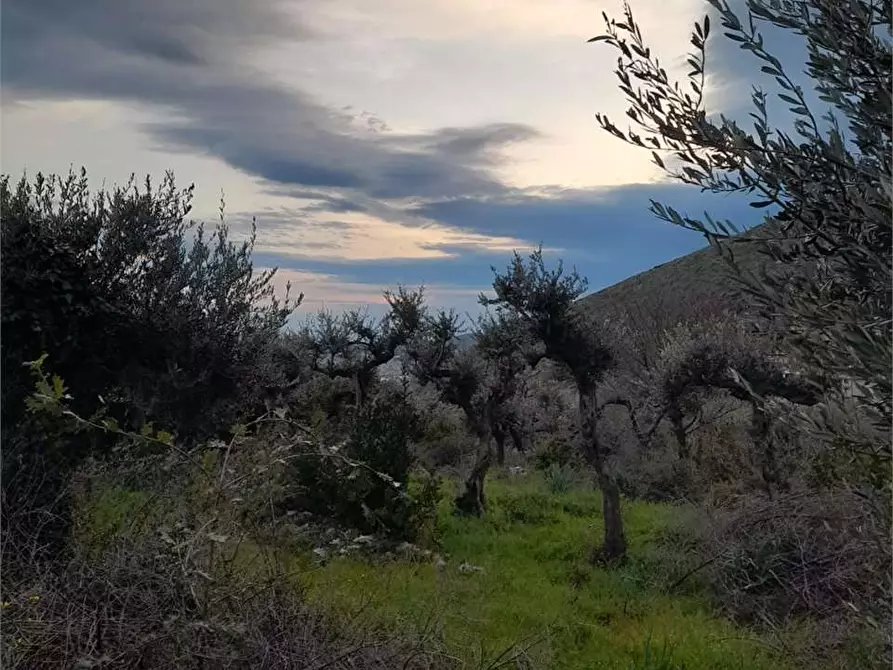Immagine 1 di Terreno edificabile in vendita  a Formia