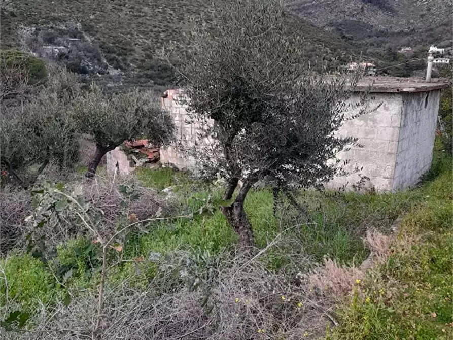 Immagine 3 di Terreno edificabile in vendita  a Formia