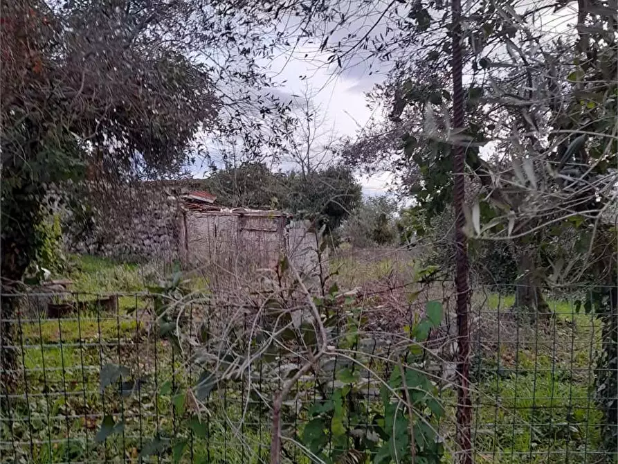 Immagine 5 di Terreno edificabile in vendita  a Formia