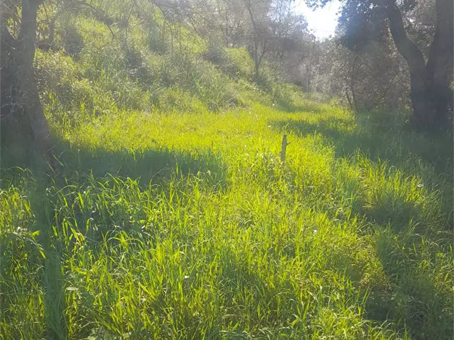 Immagine 34 di Villa in vendita  a Itri