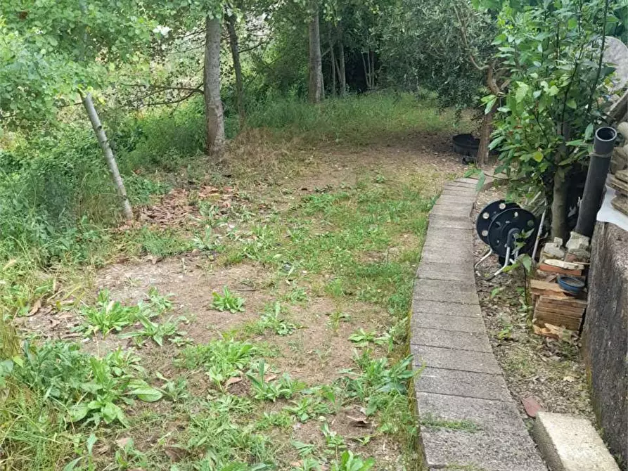 Immagine 2 di Terreno agricolo in vendita  a Formia