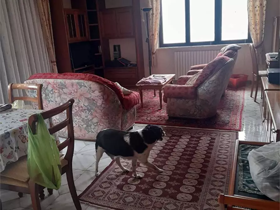 Immagine 4 di Villa in vendita  a Formia