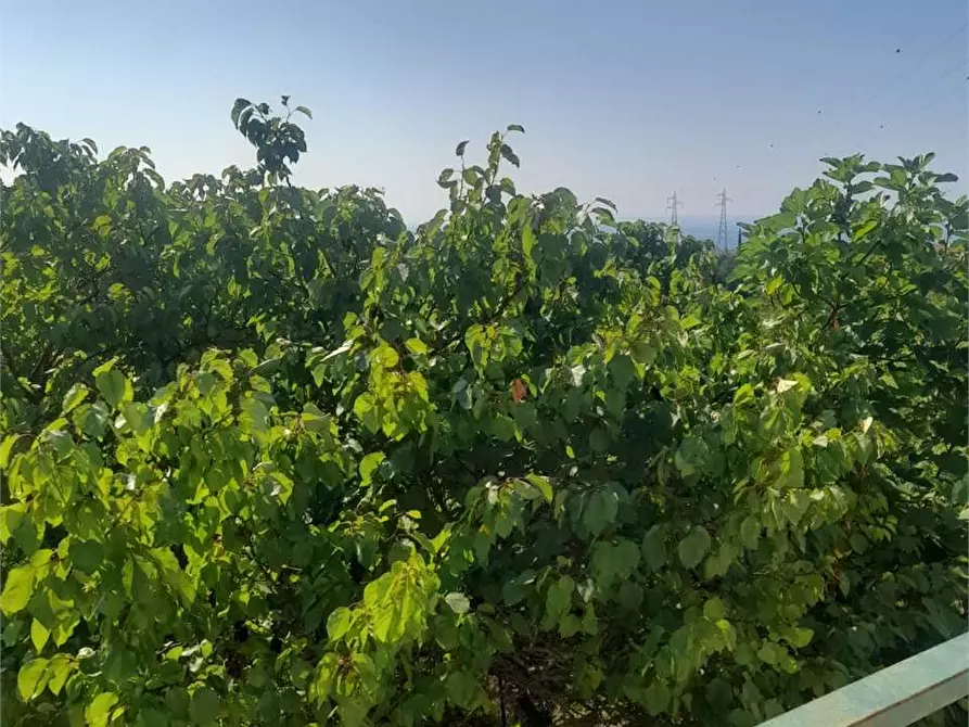 Immagine 32 di Villa in vendita  a Formia