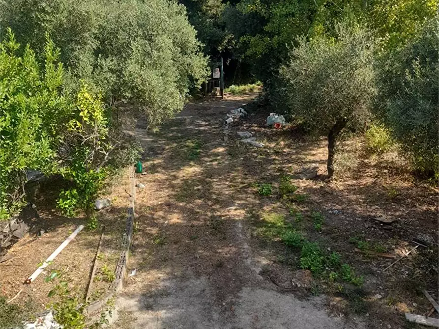 Immagine 35 di Villa in vendita  a Formia