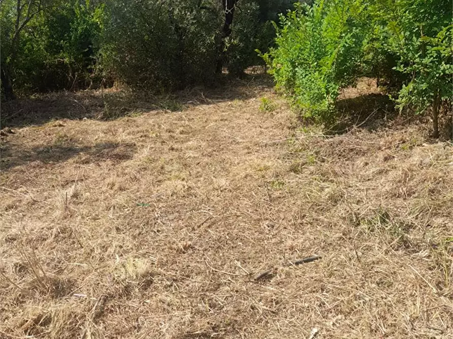 Immagine 36 di Villa in vendita  a Formia