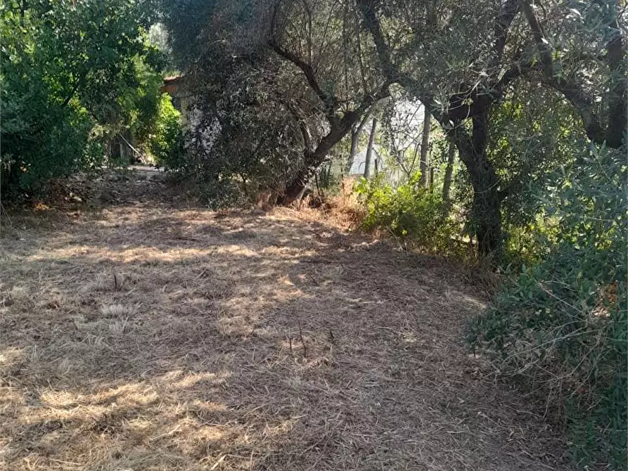 Immagine 37 di Villa in vendita  a Formia