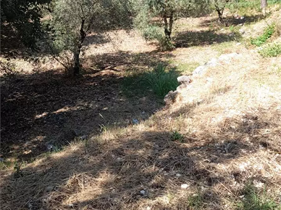 Immagine 9 di Rustico / casale in vendita  a Formia