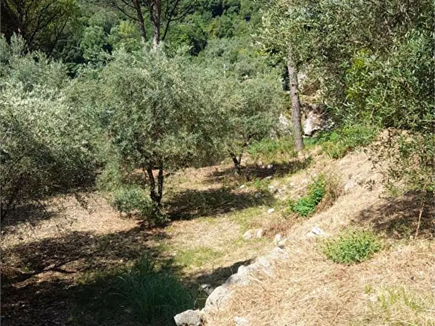 Immagine 10 di Rustico / casale in vendita  a Formia