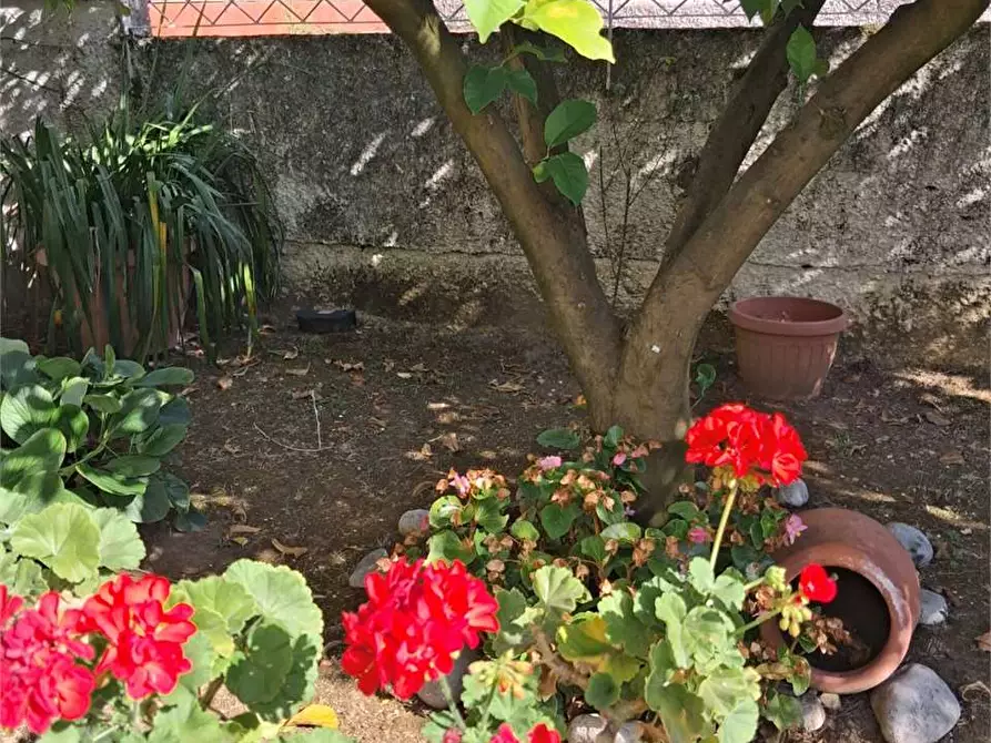 Immagine 18 di Casa indipendente in vendita  a Formia