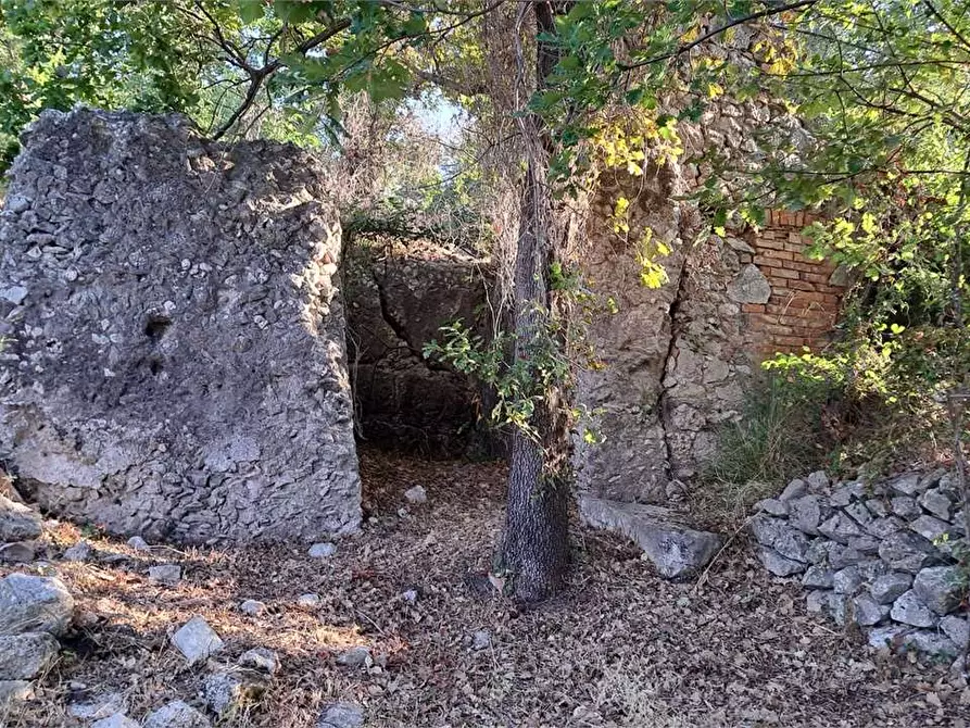 casa indipendente in affitto a Minturno in zona Tremensuoli