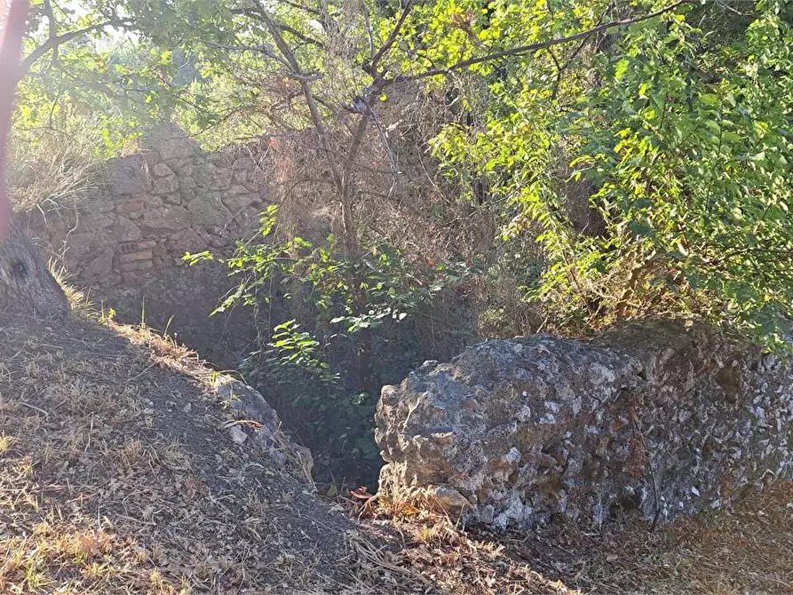 Immagine 2 di Rustico / casale in affitto  a Minturno