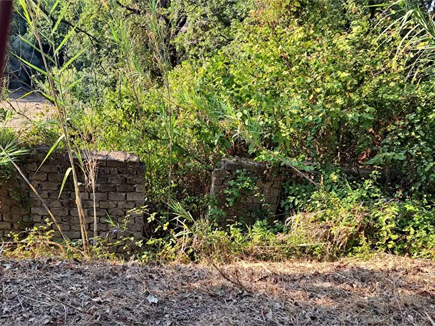 Immagine 3 di Rustico / casale in affitto  a Minturno