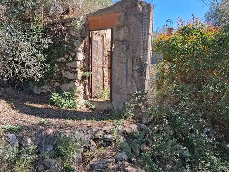 Immagine 10 di Terreno agricolo in vendita  a Itri