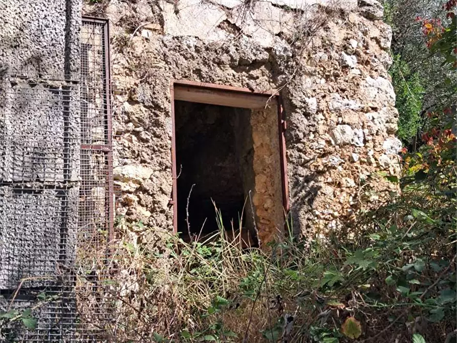 Immagine 11 di Terreno agricolo in vendita  a Itri