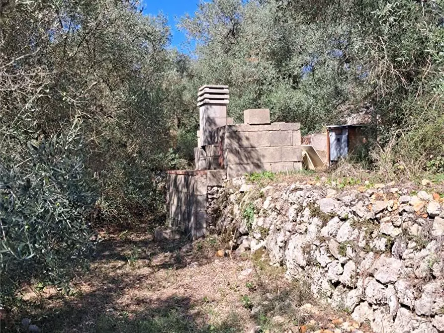 Immagine 12 di Terreno agricolo in vendita  a Itri