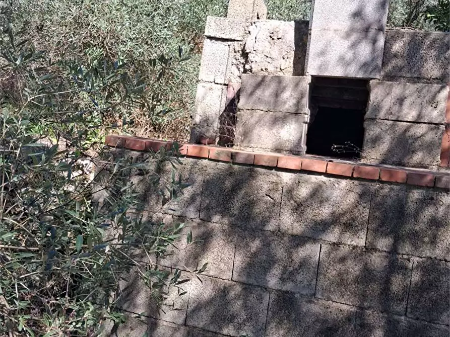 Immagine 13 di Terreno agricolo in vendita  a Itri