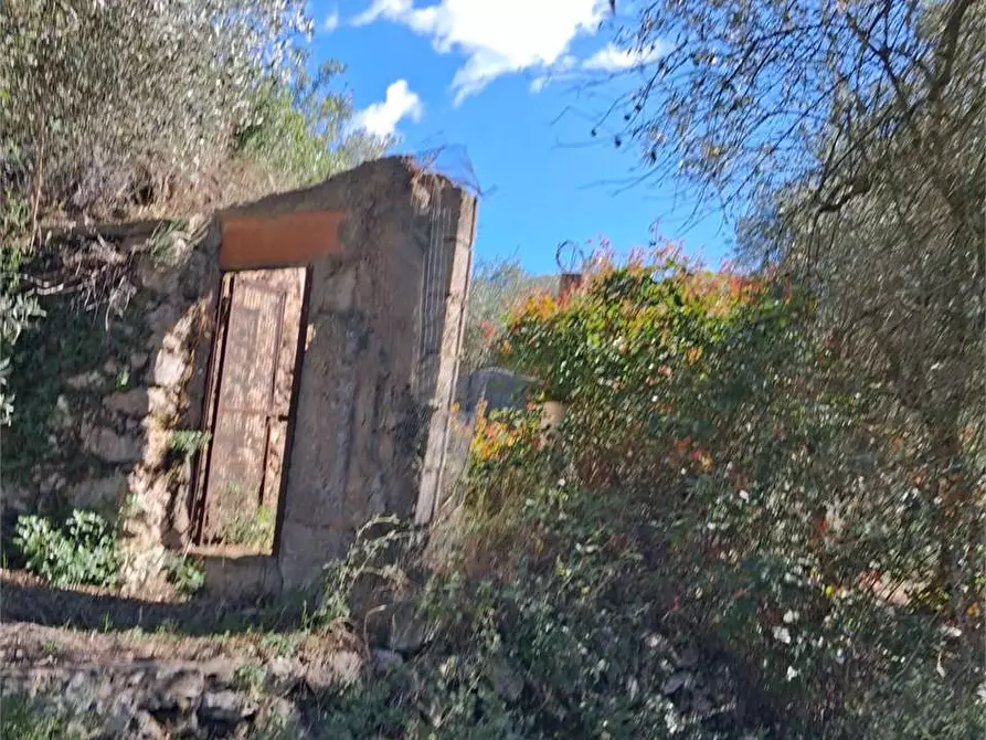 Immagine 14 di Terreno agricolo in vendita  a Itri