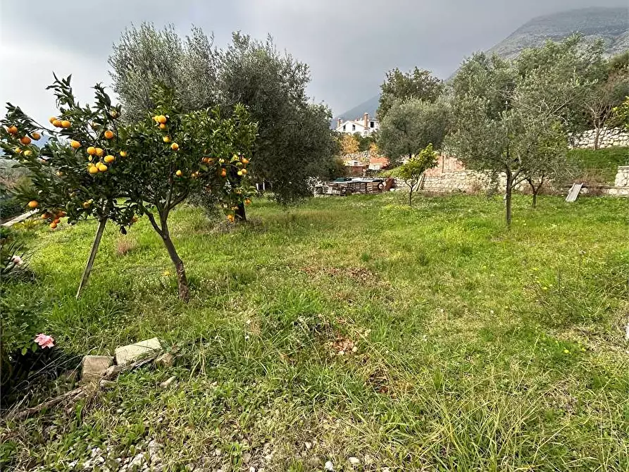 Immagine 4 di Villa in vendita  a Formia