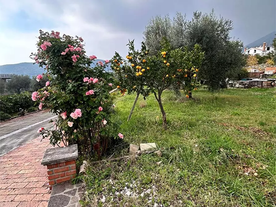 Immagine 5 di Villa in vendita  a Formia