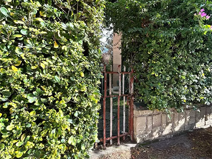 Immagine 3 di Appartamento in vendita  a Formia