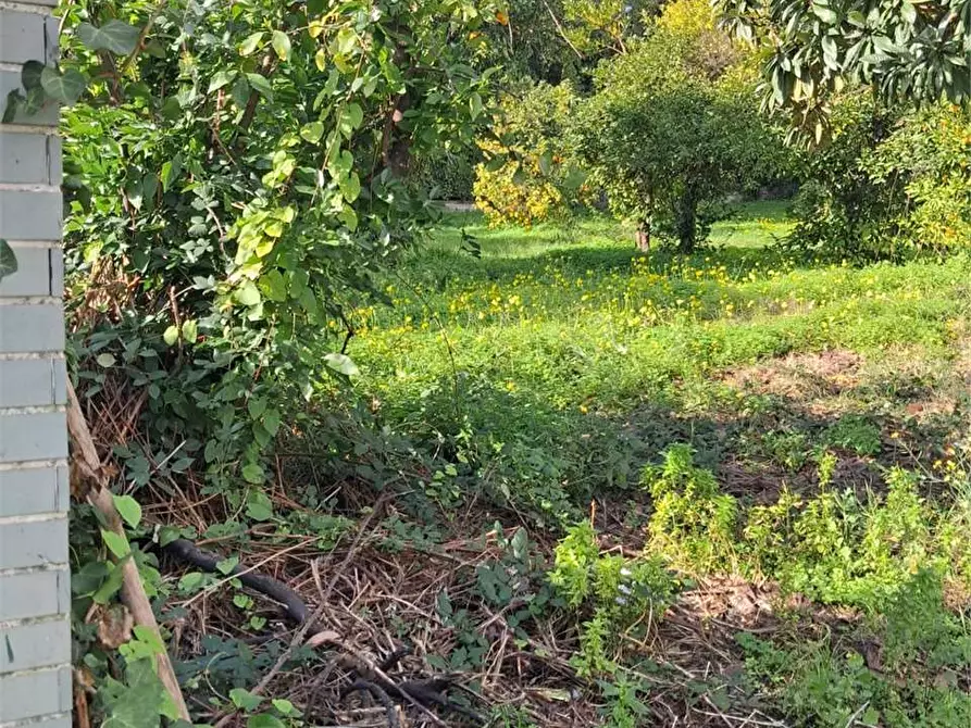 Immagine 6 di Garage in vendita  a Formia